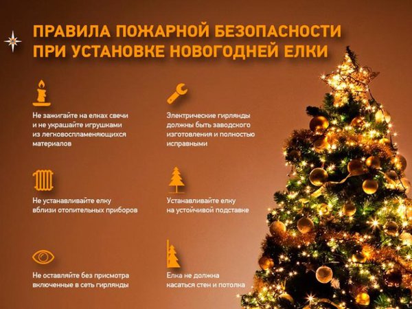 Меры безопасности в новогодние праздники